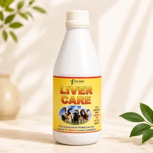 LIVER CARE( 500 ML )
