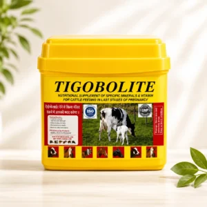Tigo Bolite-Nutritional Supplement for Pregnant Cows