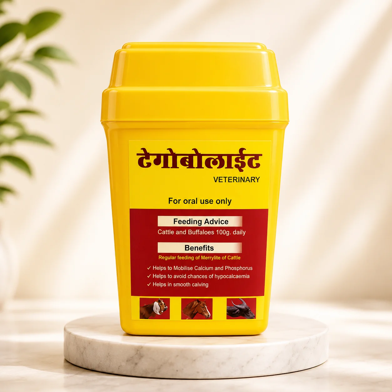 Tigo Bolite-Nutritional Supplement for Pregnant Cows - Image 2
